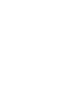 Plamet